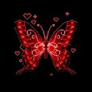 Meet your Posher, Lily